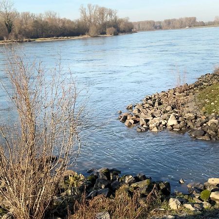 Ferienhaus Hoffmann Am Rheinbogen Altlussheim Eksteriør bilde