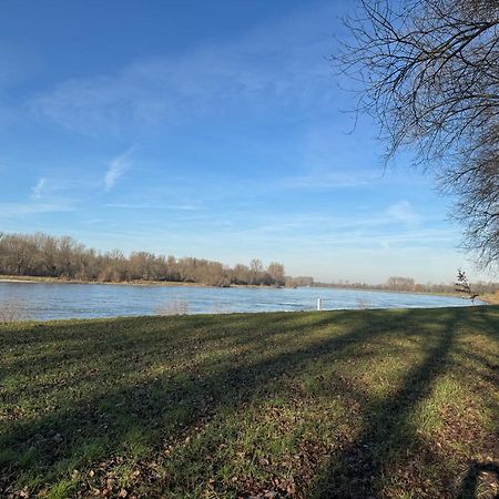 Ferienhaus Hoffmann Am Rheinbogen Altlussheim Eksteriør bilde